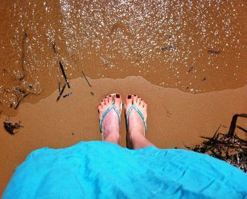 Low section of woman standing on beach