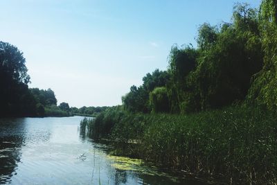 Scenic view of river against clear sky