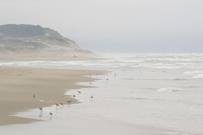 Scenic view of beach