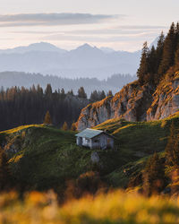 Scenic view of trees and houses against sky