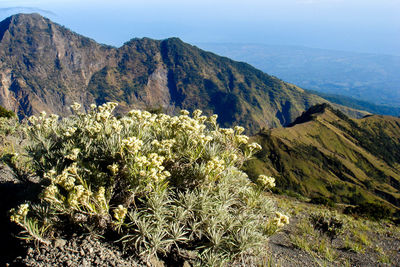 Scenic view of mountains against sky