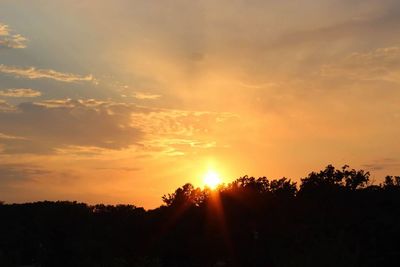 Silhouette of trees at sunset