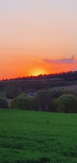 Scenic view of field against sky during sunset