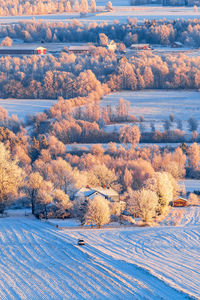 High angle view of trees on field