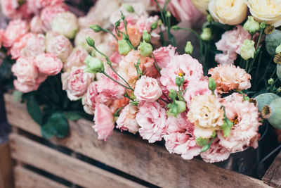 Close-up of pink flowers in container