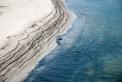 High angle view of man in sea