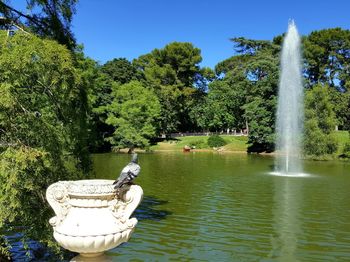 View of fountain in garden against sky