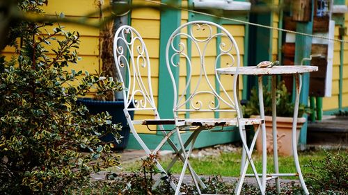 Close-up of chair against plants