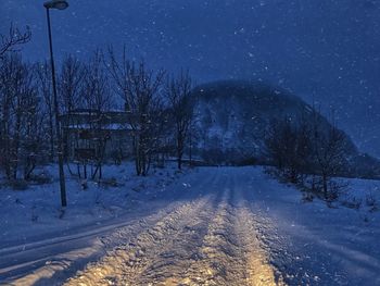 Snow covered trees against sky at night