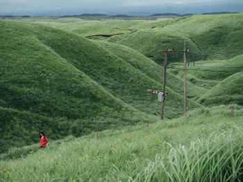 Scenic view of grassy field