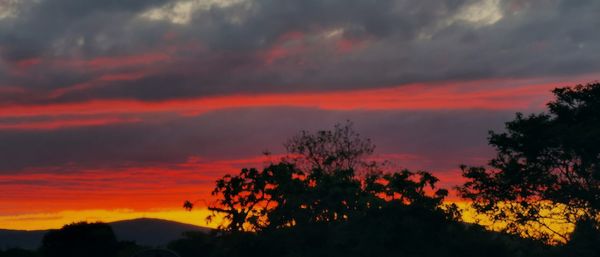 Low angle view of silhouette trees against dramatic sky