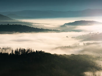 Fog flowing over forest mountains. misty mountain landscape hills after rainy night. idyllic mood