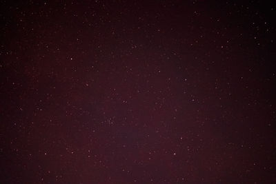 Low angle view of star field against sky at night