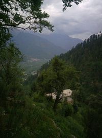 Scenic view of forest against cloudy sky