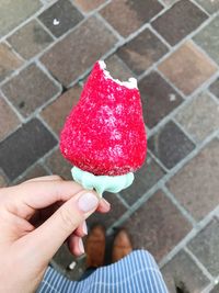 Low section of woman holding ice cream