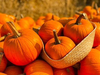 Close-up of pumpkins in market during autumn