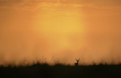 Silhouette landscape against sky during sunset