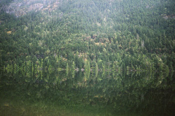 Reflection of trees in calm lake