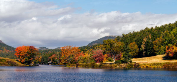 Scenic view of lake by trees against sky