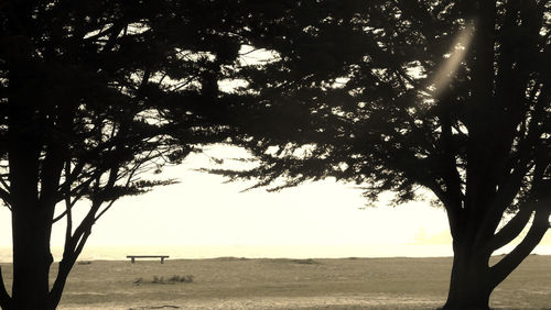 Silhouette trees on field against sky
