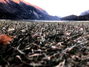 Surface level of land against sky