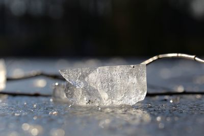 Close-up of ice crystals on table