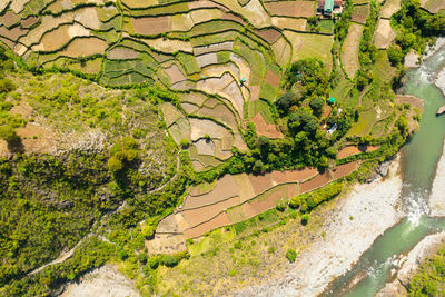 Rice terraces and fields in the highlands. philippines, luzon.