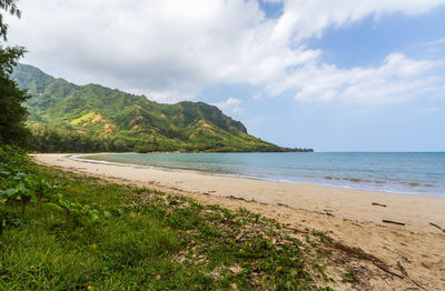 Scenic view of beach against sky