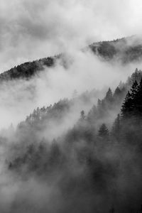 Scenic view of fog against sky