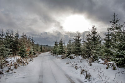 Snow covered road amidst trees against sky