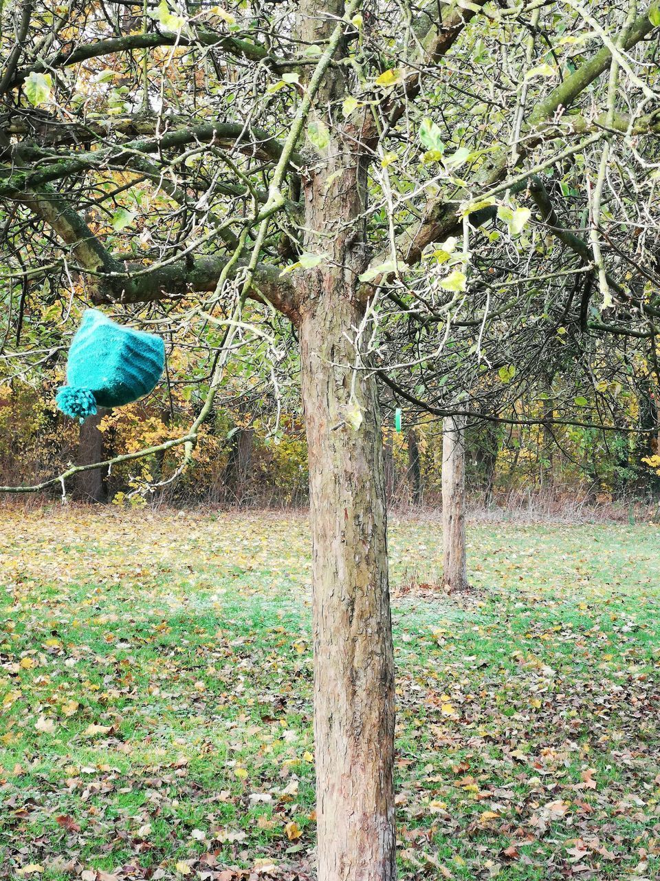 REAR VIEW OF MAN ON TREE TRUNK