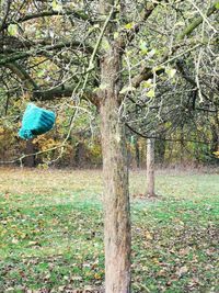 Rear view of man on tree in field