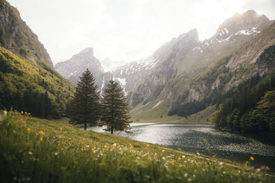 Scenic view of lake in front of mountains against sky