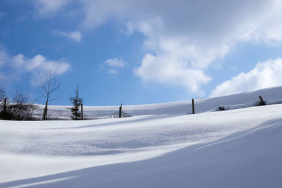 Scenic view of snowcapped field against sky