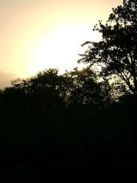 Low angle view of silhouette trees against sky at sunset