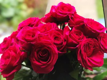 Close-up of red roses