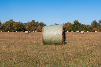 A large, round hay bale in a grassy farm field with trees and more bales in the background.