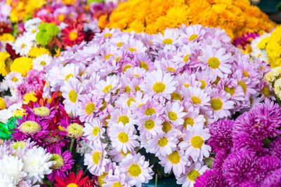 Close-up of flowers