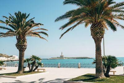 Palm trees by swimming pool against sky