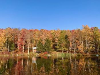 Scenic view of lake against clear sky during autumn