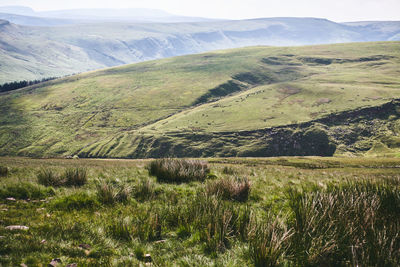 Scenic view of landscape