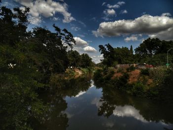 Reflection of trees in lake