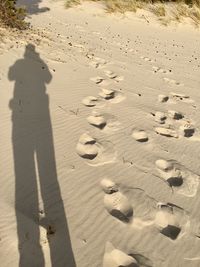 Shadow of person on sand at beach