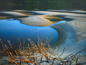 High angle view of plants in lake