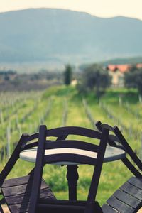 Scenic view of agricultural field