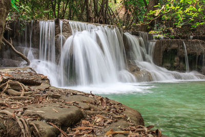 Scenic view of waterfall in forest