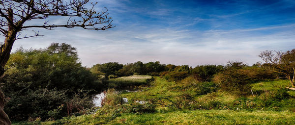 Scenic view of landscape against cloudy sky