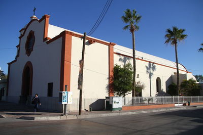 Street by palm trees and buildings against sky