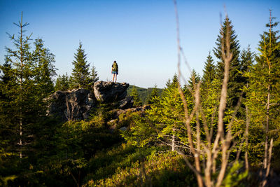 Rear view of woman standing in forest against sky