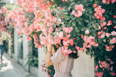 Woman standing below pink flowering plants